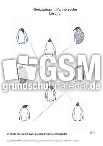 020 pinguin partnersuche schwierig lösung.pdf